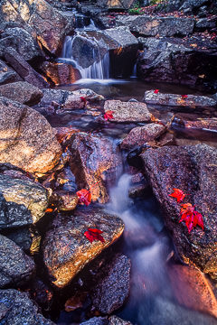 AM-LA-14         Hidden Waterfall, Acadia National Park, Maine