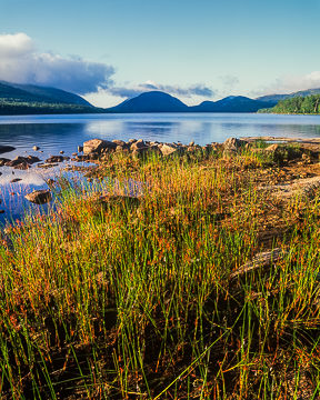 AM-LA-008         Grassy Shore, Eagle Lake, Acadia National Park, Maine