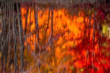 PFM-06         Fall Reflections, Near Quechee, Vermont