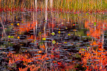PFM-11&nbsp;&nbsp;&nbsp;&nbsp;&nbsp;&nbsp;&nbsp;&nbsp; Autumn Colors Reflecting on Somes Pond, Somesville, Maine