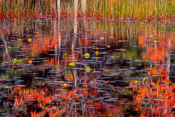 PFM-11         Autumn Colors Reflecting on Somes Pond, Somesville, Maine