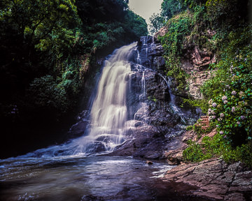 LE-BR-LA-002         Cascade Of Daffodils, Gramado, Brazil