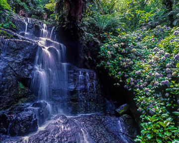 LE-BR-LA-001         Hidden Waterfall, Near Gramado, Brazil