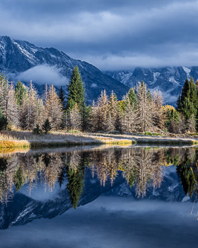 LE-AM-LA-006         Reflections At Schwabacher Landing, Grand Teton National Park, Wyoming