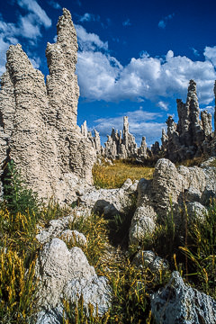 AM-LA-03         Tufa Formations, Mono Lake Tufa State Natural Reserve, California