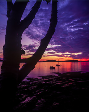 AM-LA-002         Bright Colors Of Dusk, Bar Harbor, Maine