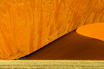 LE-AF-LA-137          Blooming Desert, Namib-Naukluft National Park, Namib Desert, Namibia