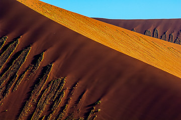 LE-AF-LA-143         Dune Designs, Namib-Naukluft National Park, Namib Desert, Namibia