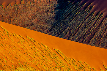 LE-AF-LA-145         Colors Of The Dunes, Namib-Naukluft National Park, Namib Desert, Namibia