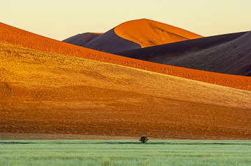 LE-AF-LA-149         The Last Light At The Desert, Namib-Naukluft National Park, Namib Desert, Namibia