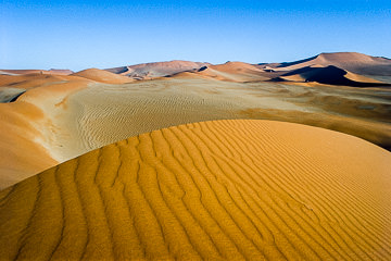 LE-AF-LA-16         Edge Of Dune, Namib-Naukluft National Park, Namib Desert, Namibia