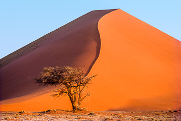 AF-LA-58         Dune 45, Namib Desert, Namibia, Africa