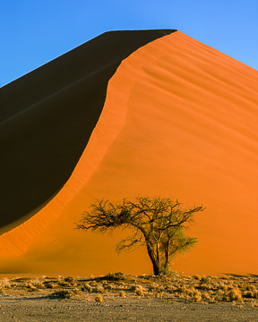 AF-LA-014         Popular Dune 45, Namib-Naukluft National Park, Namib Desert, Namibia  