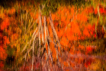 LE-AM-MIS-08         Reflected Fall Colors, Near Queeche, Vermont