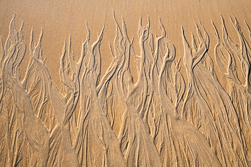 SND-30         Sand Design