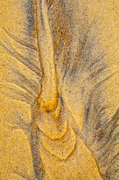 LE-SND-300&nbsp;&nbsp;&nbsp;&nbsp;&nbsp;&nbsp;&nbsp;&nbsp; Sand Design, Coast of Bahia, Brazil