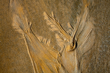 SND-358         Sand Design