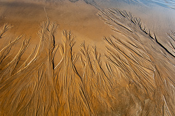 LE-SND-464&nbsp;&nbsp;&nbsp;&nbsp;&nbsp;&nbsp;&nbsp;&nbsp; Sand Design, Coast of Bahia, Brazil