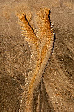 SND-515         Sand Design