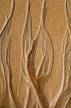 LE-SND-56&nbsp;&nbsp;&nbsp;&nbsp;&nbsp;&nbsp;&nbsp;&nbsp; Sand Design, Coast of Bahia, Brazil