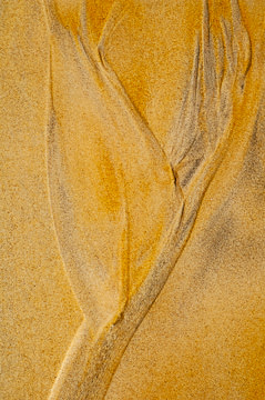 LE-SND-97&nbsp;&nbsp;&nbsp;&nbsp;&nbsp;&nbsp;&nbsp;&nbsp; Sand Design, Coast of Bahia, Brazil