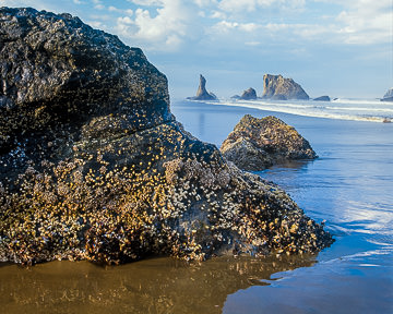 Sea Stacks at Bandon Beach, Oregon