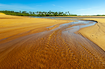 BR-LA-08         Rio Gualandi Flowing Toward Ocean, Bahia, Brazil