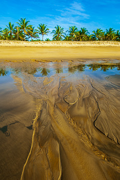 BR-LA-21         Designs In The Sand, Beach At Mogiqucaba, Bahia, Brazil