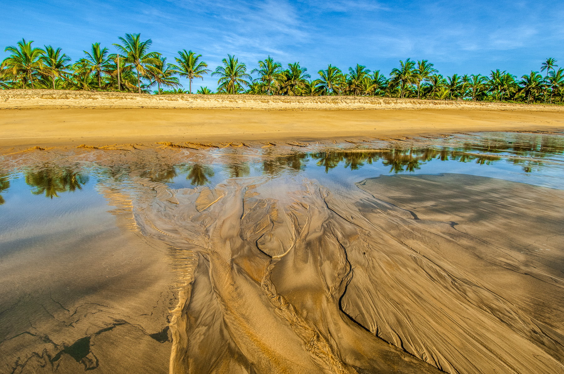 Photograph of a sand designs found on a beach in southeastern Bahia, Brazil, taken by Gil Lopez-Espina