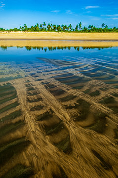 LE-BR-LA-38         Patterns On The Beach, Southern Coast Of Bahia, Brazil