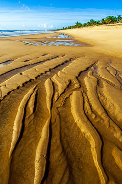 BR-LA-67         Designs In The Sand, Beach At Mogiquicaba, Bahia, Brazil