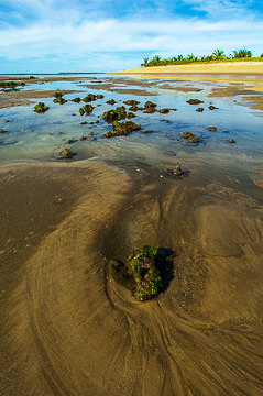 BR-LA-80         Beginning Of A Coral Reef, Beach At Mogiquicaba, Bahia, Brazil