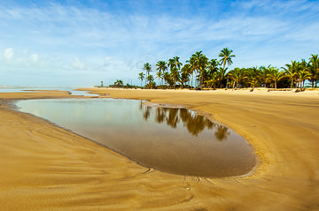 Beach at Rio Preto, Southeast Bahia, Brazil