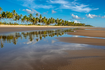 BR-LA-110         Beach At Rio Preto, Bahia, Brazil