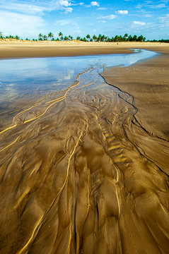 BR-LA-89         Designs In The Sand, Beach At Rio Preto, Bahia, Brazil