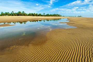 BR-LA-98         Beach At Rio Preto, Bahia, Brazil