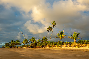 BR-LA-22         Beach At Santo Antonio, Bahia, Brazil