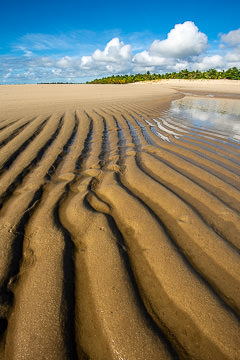 LE-BR-LA-37         Patterns On The Beach, Praia De Santo Antônio, Bahia, Brazil