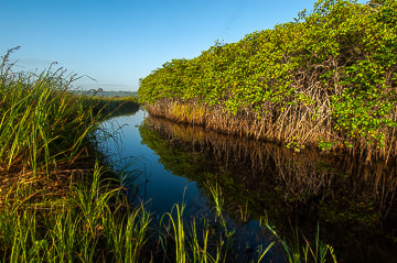 BR-LA-02         Rio Gualandi, Bahia, Brazil