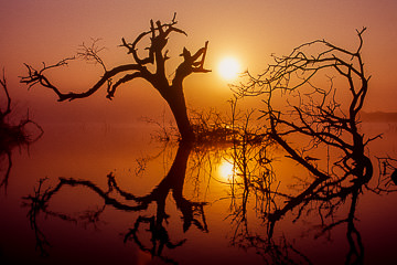 LE-AF-LA-01         Sunrise Reflections, Phinda Game Reserve, South Africa