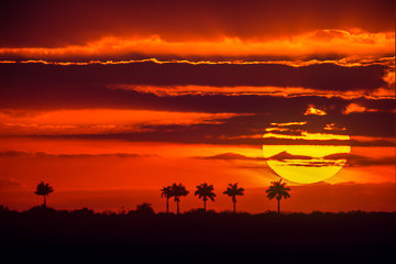 AM-LA-01         Sunset Near Anhinga Trail, Everglades National Park, Florida