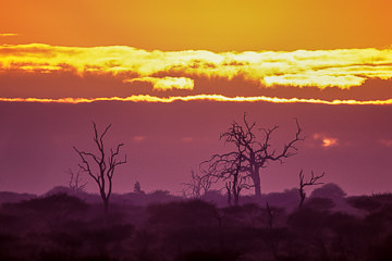 AF-LA-11         Sun Rising Behind Clouds, Kruger National Park, South Africa