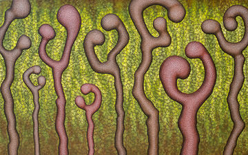 VOL-001&nbsp;&nbsp;&nbsp;&nbsp;&nbsp;&nbsp;&nbsp;&nbsp; VOLTEX 03&nbsp;&nbsp •  &nbsp;&nbspAcrylic On Canvas &nbsp;&nbsp  (80in x 50in)