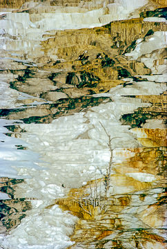 PFM-03&nbsp;&nbsp;&nbsp;&nbsp;&nbsp;&nbsp;&nbsp;&nbsp; Colors At Monmouth Hot Springs, Yellowstone NP, Wyoming